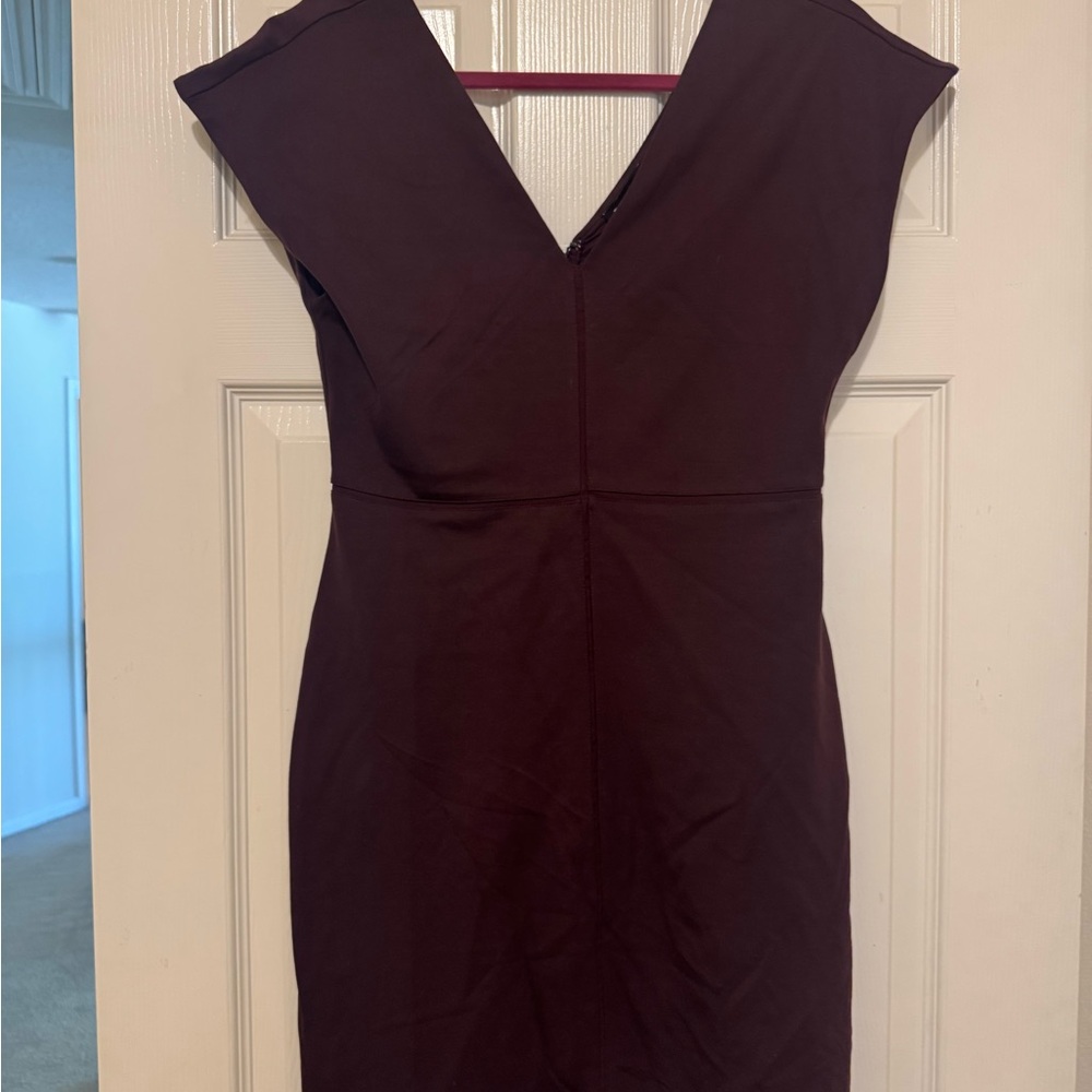 Express Maroon Women's Dress